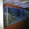 Sea Life Hotel | 6